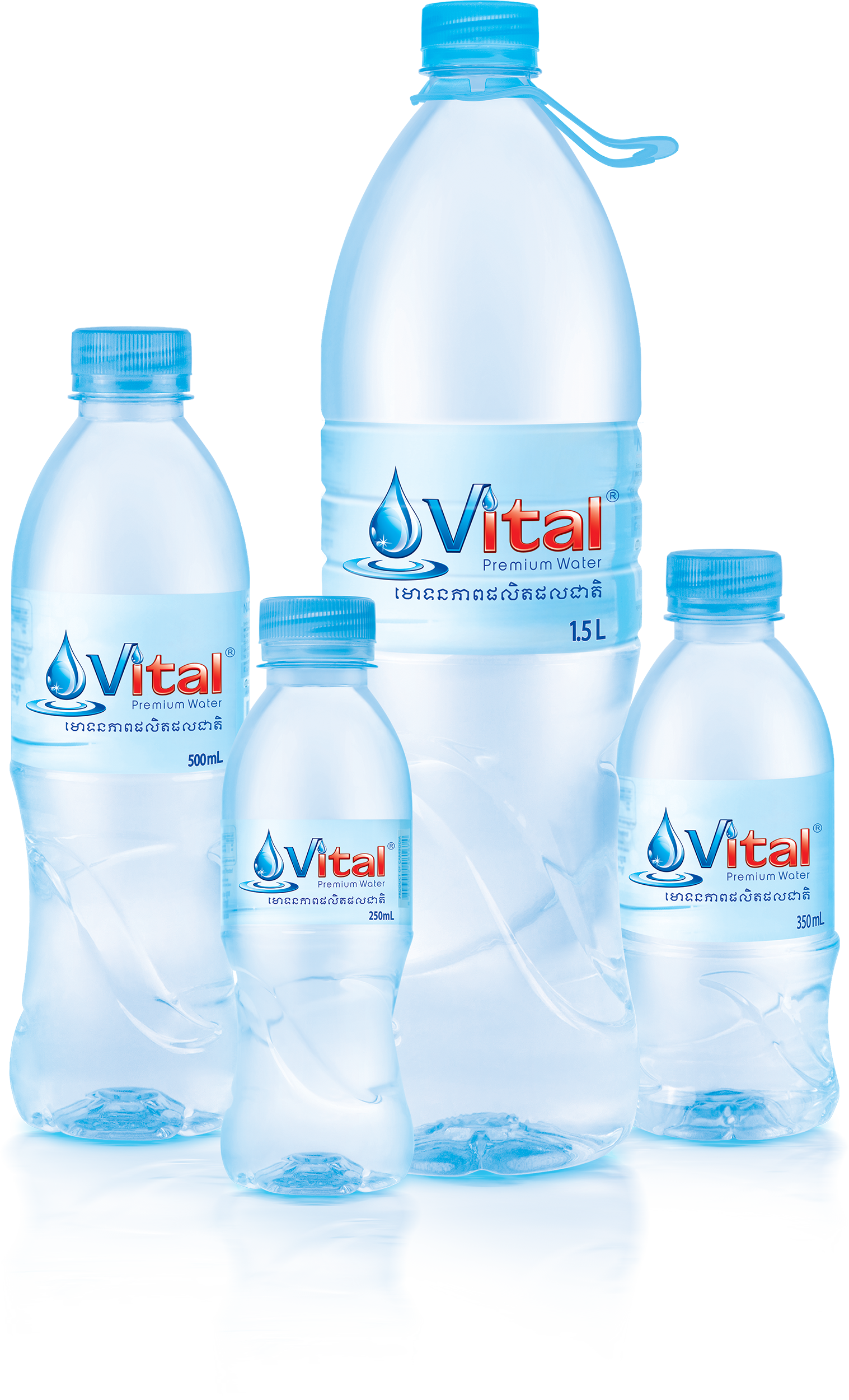 https://www.vital.com.kh/wp-content/uploads/2022/10/Bottle-Standard_Style01_All-SKUs_2022_Rev-1.1.png